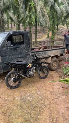 cuma motor kebun konk😁#promomakan1111 #rbtsumatra #rbtrevoabsolude #sawit #rbtindonesia 