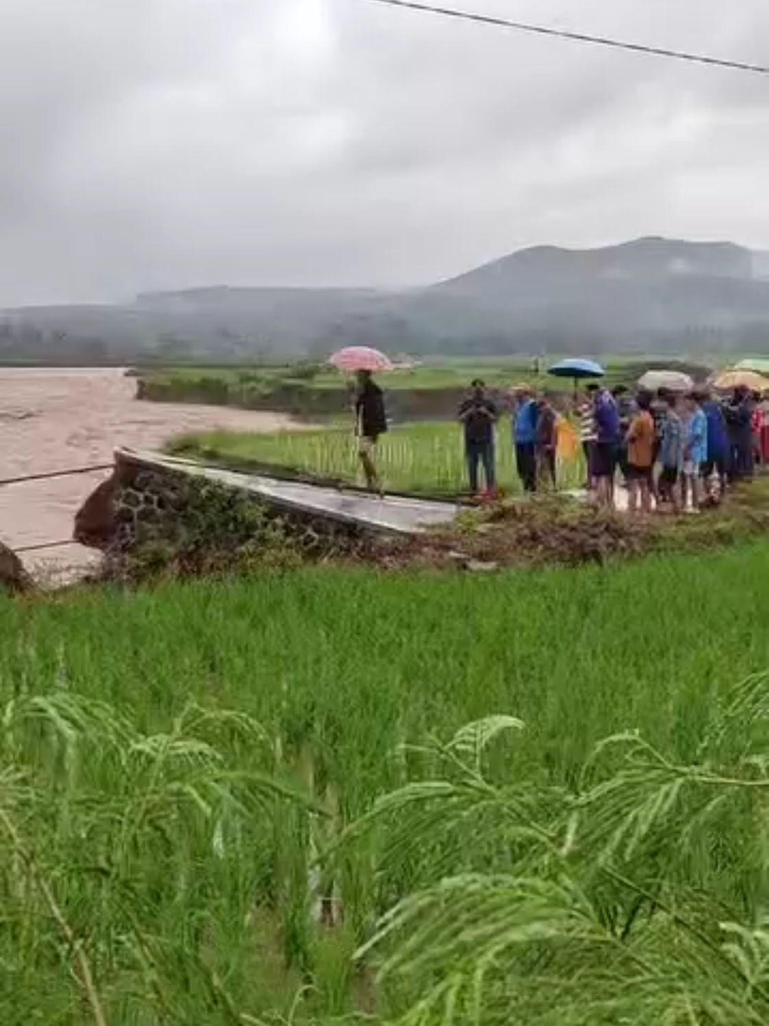 Jembatan gantung terputus akibat diterjang banjir besar sungai Cibuni yang meluap sore tadi. Jembatan tersebut menghubungkan tiga desa antara lain desa Pagermaneuh, desa Karangtengah dan desa Rawagede, Kecamatan Tanggeung (Selasa, 11 /11/2025). Video by @triwahyudi_muh