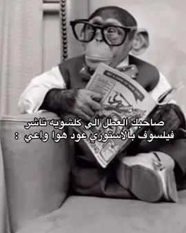 اول فيديو تفاعلو 😅☝🏻. #شتبوست #وعي #فيلسوف 