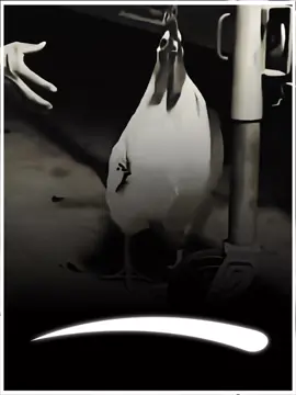 lines`~😘 duet kro apki video virl 100%~☺ #unfrezzmyaccount  #msaqib_088 #foryou #1millionaudition #viralvideo 