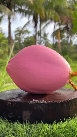 A Romantic Shade of Coconut Pink  #reels #coconut #fruits #asmr #satisfyingvideo 