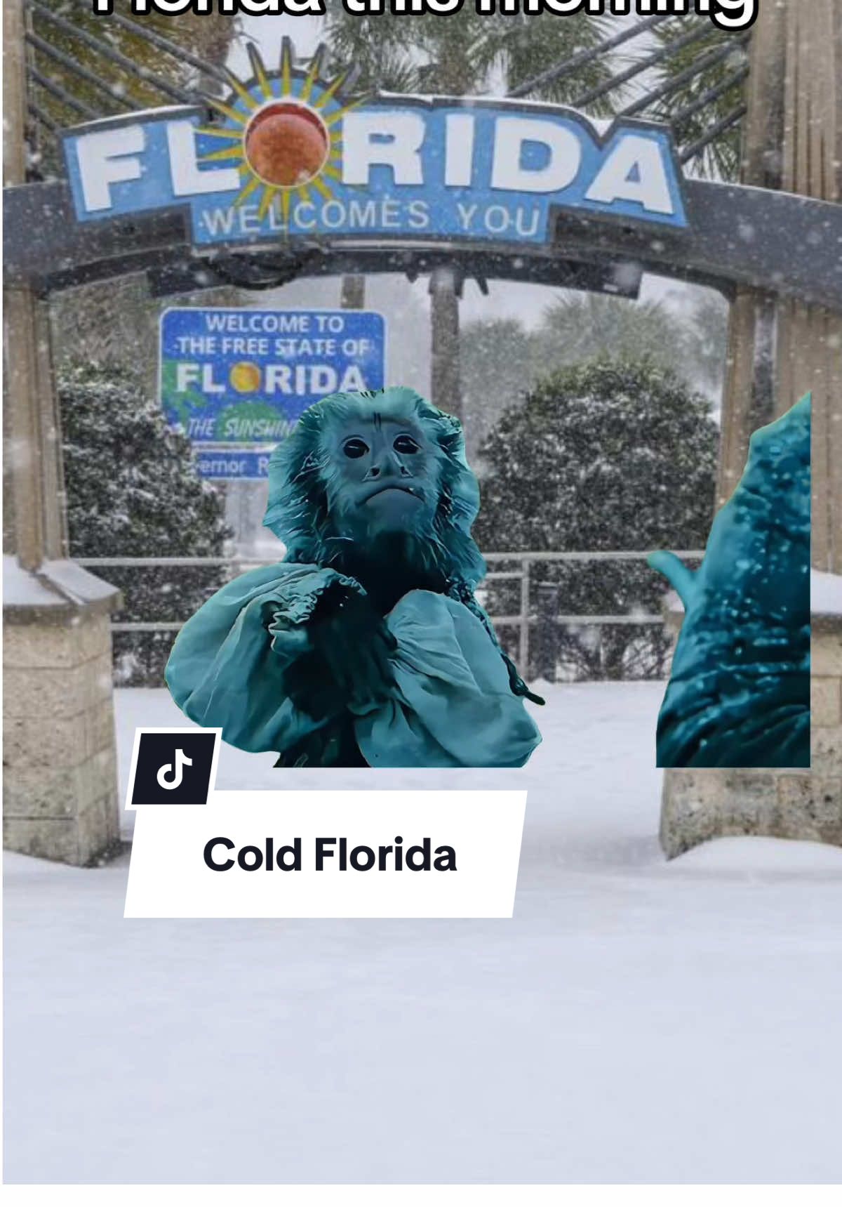 40 degrees in south Florida is too cold for me #florida #coldfront #snow #cold #southflorida 