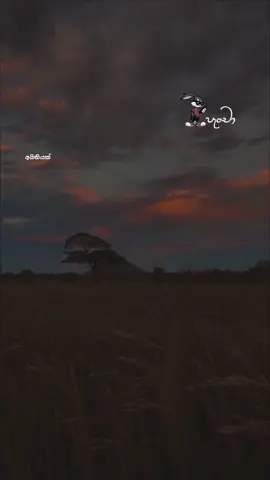 ලැබෙන්නේ නැති දේවල් ජීවිතේට හමුවෙන එක සාමාන්‍ය දෙයක් 😪❤️‍🩹 #foryoupage #srilankan_tik_tok🇱🇰 #tiktok #viralvideo #fyp 