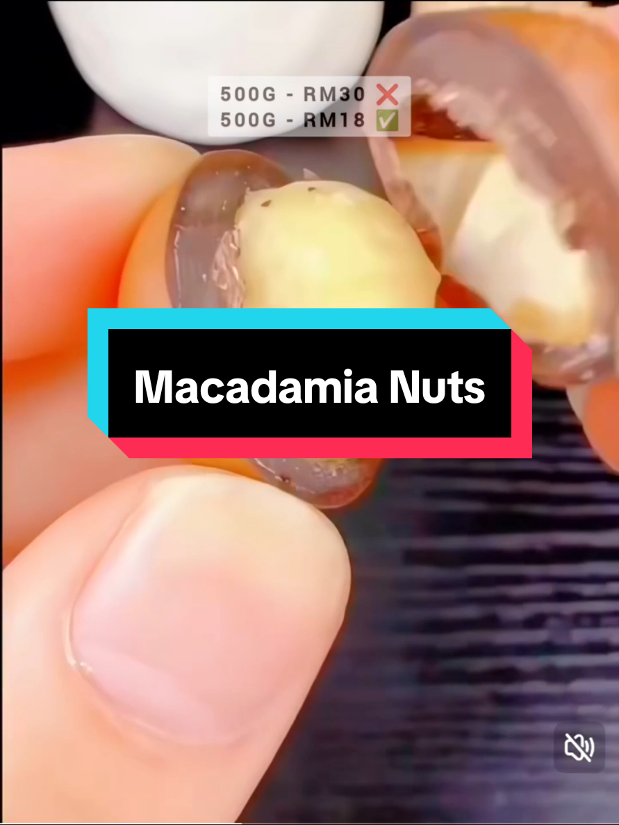 Kacang Macadamia. Kacang kudap2 sihat masa layan movie. Macadamia Nuts. #macadamia #macadamianuts #kacangmacadamia #healthynuts #kacangsihat 