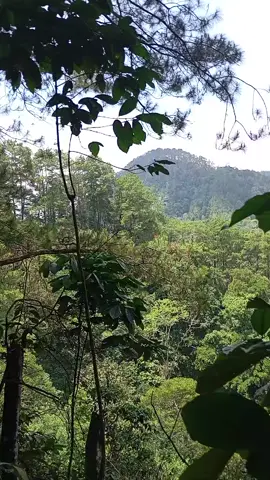 genah kieu duh #porbi50kota #porbimarenten #porbisumbar  #fyp #viral 