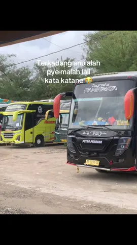 Alah mboh lali iki #putrapradanatrans 