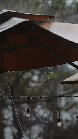 Âm thanh chữa lành #ongganhdalatchill #tramruaxeaetouring24h #deoprenn #dalat #mưa 