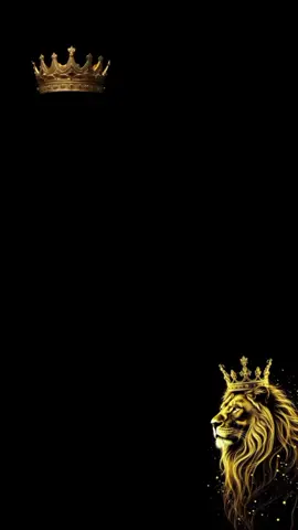 #####rapost ####################################################################