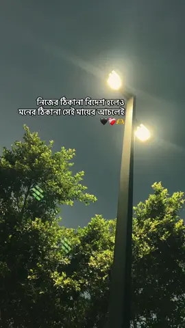মায়ের মতো কেউ না... ❤️‍🩹🖤🫶#মায়ের_মতো_এতো_যত্ন_কেউ_নেয়না #100kviews #1millionviews #500k #videoviral 