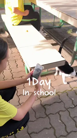 หนึ่งวันของพายคอนเฟลก