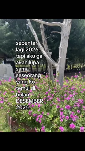 #fyp #2026 #2024 #desember #katakata 