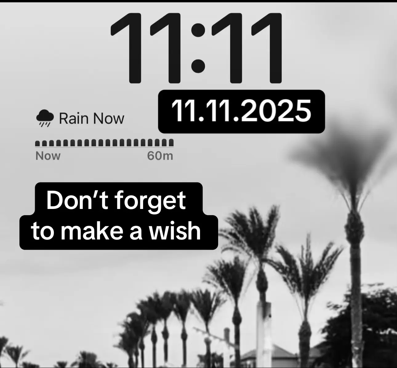 #1111 #portal #wish #motivationalvideos #fyp