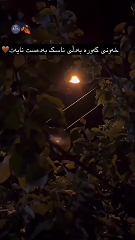 #tiktok🤎 #acctiv #tiktok #fyp #erbil_iraq 🤍