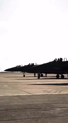 #المملكه_العربيه_السعوديه 🇸🇦🌴