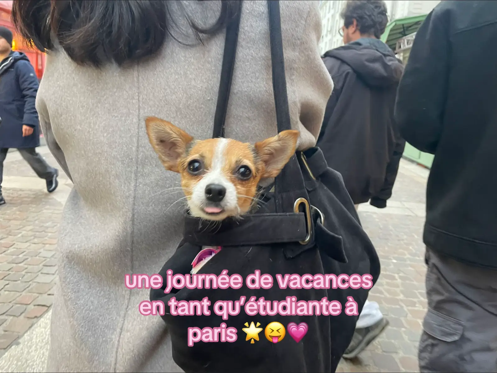 #adayinmylife #paris #Vlog #etuditante 