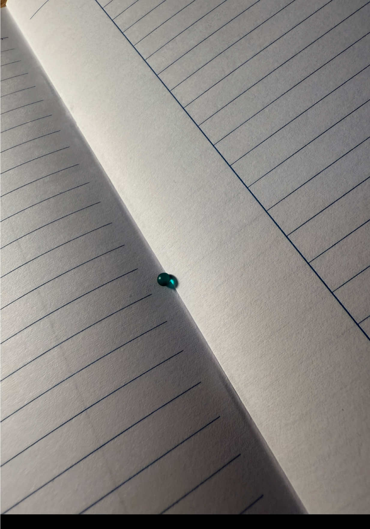 🍈 #tiktok #capcut  #saigonmelon 