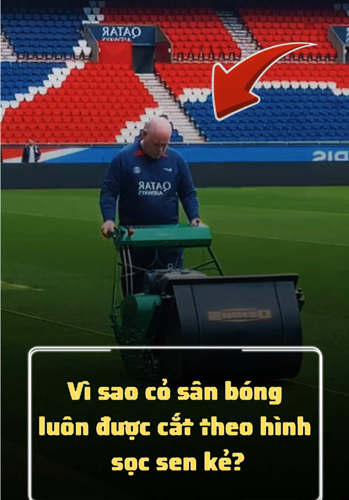 Vì sao cỏ sân bóng luôn được cắt theo hình sọc sen kẻ? #bongda #football #foryou #fyp #viralvideo 