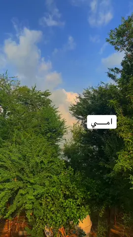 #العارضه_جازان_اكسبلور💯🌝❤️ 