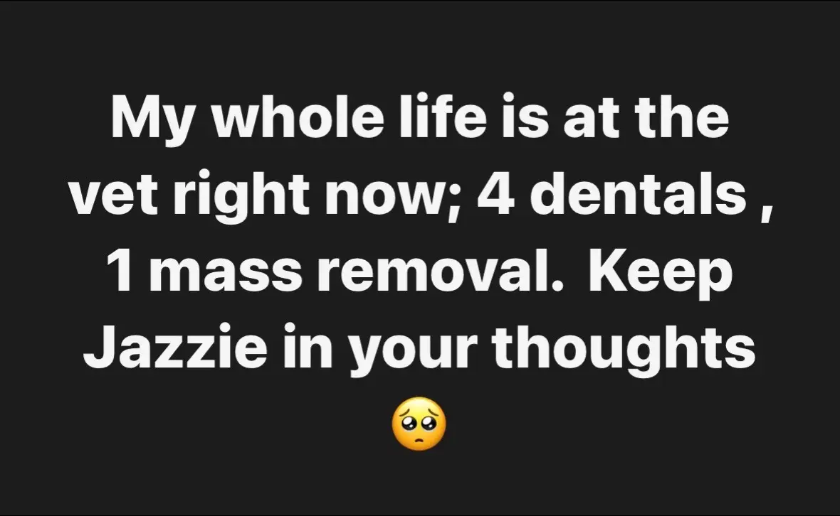 Jazz has a decent sized tumor in her mammary system.  I’m worried about my 11 year old pup.  They are all getting dentals, because you cannot neglect your dental care!  They all go once a year for dentals. It’s going to be a quiet and rough day with my house empty.