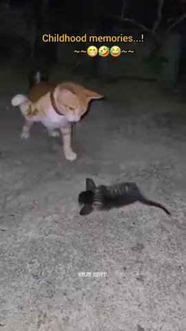 #sujicomedyedit_007 #fyp #trending #fyppppppppppppppppppppppp #tamilcomedy 