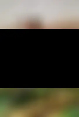 #napoleon #empire #war #History #battle 