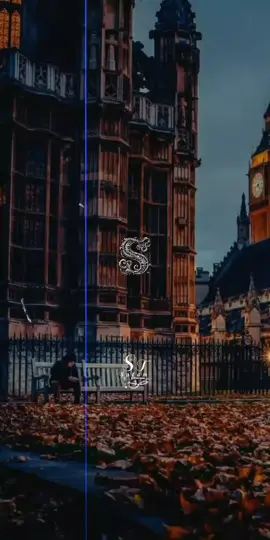 في حلم مستنينا على خط النهايه#تصميم الكينج