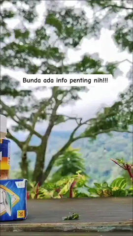 rawat jantung sejak dini dengan squashark oil #squasharkoil #nutrisianak #kesehatanjantung #fypシ゚viral 