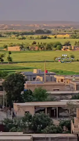 المسرب الغالية ❤@♯̶عــ⃪ـ⃪ســافـِـِـِي𓆩505𓆪 #المسرب #العساف #تصويري_احترافي_الاجواء👌🏻🕊😴 #ديرالزور #الشميطية 