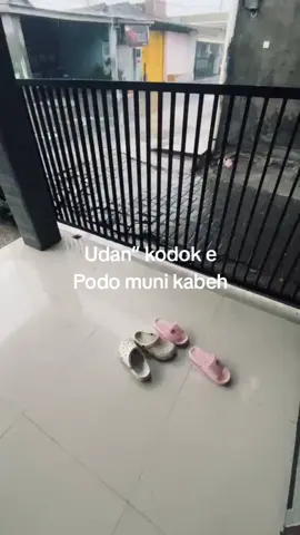 musim udan umum e😂 #sidoarjo24jam #fypシ゚ #viral #beranda 