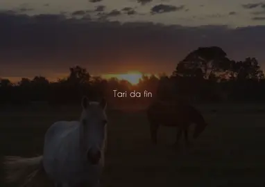 Diyar😍😍#barzani #dyardersm #tiktok #foryou 