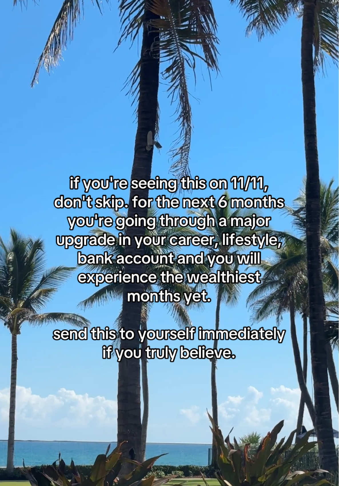 Type 11/11 in the comments to claim #claim #1111 #manifestation 