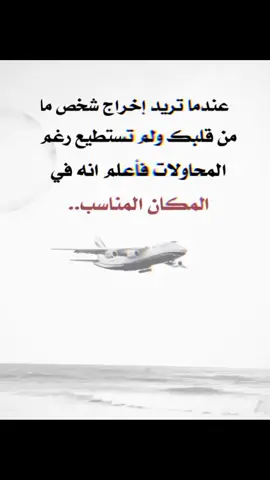 #creatorsearchinsights  #أميرالوفاء 