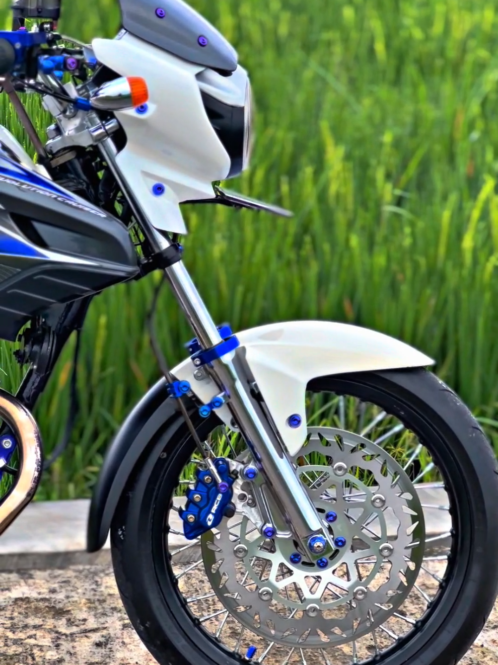 #fyppppppppppppppppppppppp #fyp #herex #soundold #tigerrevo 