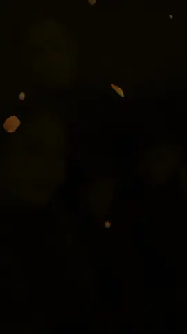 #CapCut #foryoupage❤️❤️ #thisvairalvideo🌍🦋 