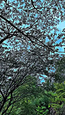 Pasukan molor😪#fyp #fypviral #berandatiktok #berandatiktok #trukquote 