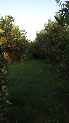 وش اكثر سؤال يوجهونه لك الناس🙂🌷#لايك_متابعه_اكسبلور_تعليق_مشاركة #الشعب_الصيني_ماله_حل😂😂 