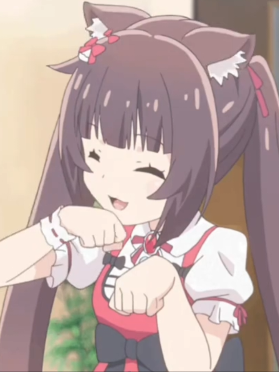 يمثلن تقريبا #meow #cat #مياو #aoi #miyuki #yui #denji #fyp #foryou #foryoupage #viral #4u #explore #nat 