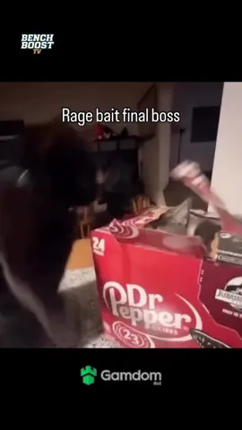 Rage bait final boss 