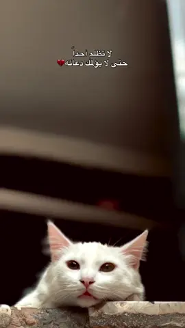 لا تظلم احد حتى لا يألمك دعائهم 