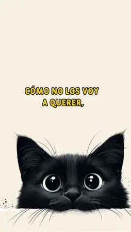 humor y sarcasmo #humor #sarcasmo #fyp #paratii 