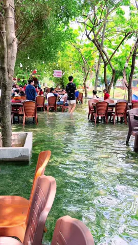 Bao La món ngon đang chờ ạ! #lovetiktok #TikTokAwardsVN #gadotothum #xuhuongtiktok #nuocnoiquanquan12 #hanhphucgiadinh #dacsanmientay #nuocnoiquanquan12 #laulong #goicatrich 