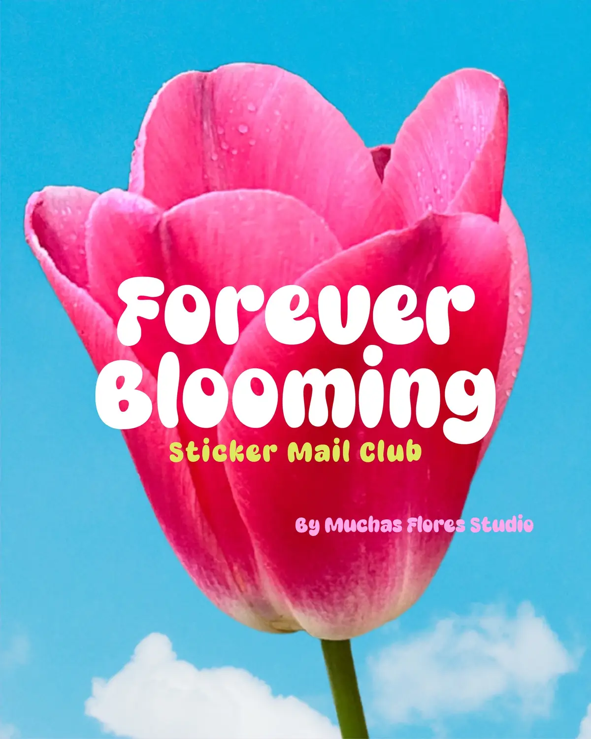 Introducing my newest little dream — the Forever Blooming Sticker Mail Club 🌸🌷💐🌻🌼 A monthly snail mail sticker club where you’ll receive an exclusive sticker designed by me featuring an affirmation or cute whimsical design🌀🎨🌷— straight to your mailbox💌 My intention with this sticker club is to create a community that is all about spreading self-love, joy, and little reminders that we’re all forever blooming. Join the club! Sign ups will open Friday, November 14th🌷Stay tuned for November’s sticker design 👀 • • #stickerclub #snailmaillove #stickers #affirmations #stationery