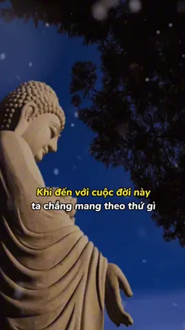 Khi đến đời này tay chẳng có chi Mà sao cứ mãi sợ điều mất được Một mai nhắm mắt buông trôi hết Mới hay bình yên vốn ở trong ni.” #phatphapnhiemmau #PhậtPháp #nammobonsuthichcamauniphat #adidaphat #xuhuong 