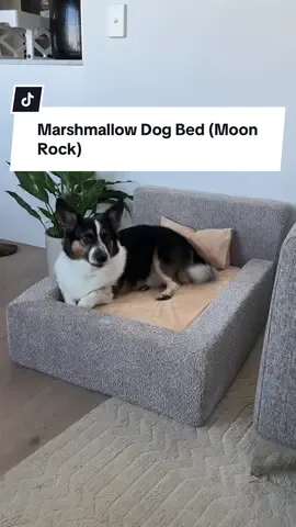 The Marshmallow Dog Bed in Moon Rock (Medium) #ineshi #marshmallowframe #marshmallowdogbed #australia 