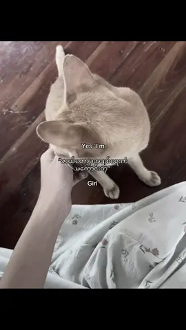 🤍 #fyp #foryou #viwesproblem 