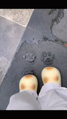 #fyp #xuhuong #viral 