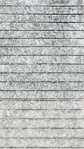 #fyppppppppppppppppppppppp #herexjatim #walisongoofficial 