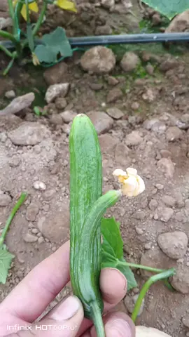 #طهروني_وانا_صغير #الشعب_الصيني_ماله_حل😂😂 