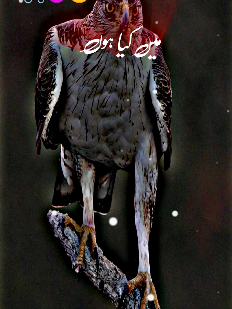 تیرا ہی گھمنڈ تجھے ہی ہرائے گا🤔😈✌😡🔥🤣#writer #foryoupage  #🖇✨🥀💔  #foryou #1millionaudition 