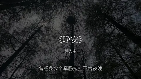 我与全世界说晚安 但只对你说喜欢#晚安 #音乐 #戴上耳机 